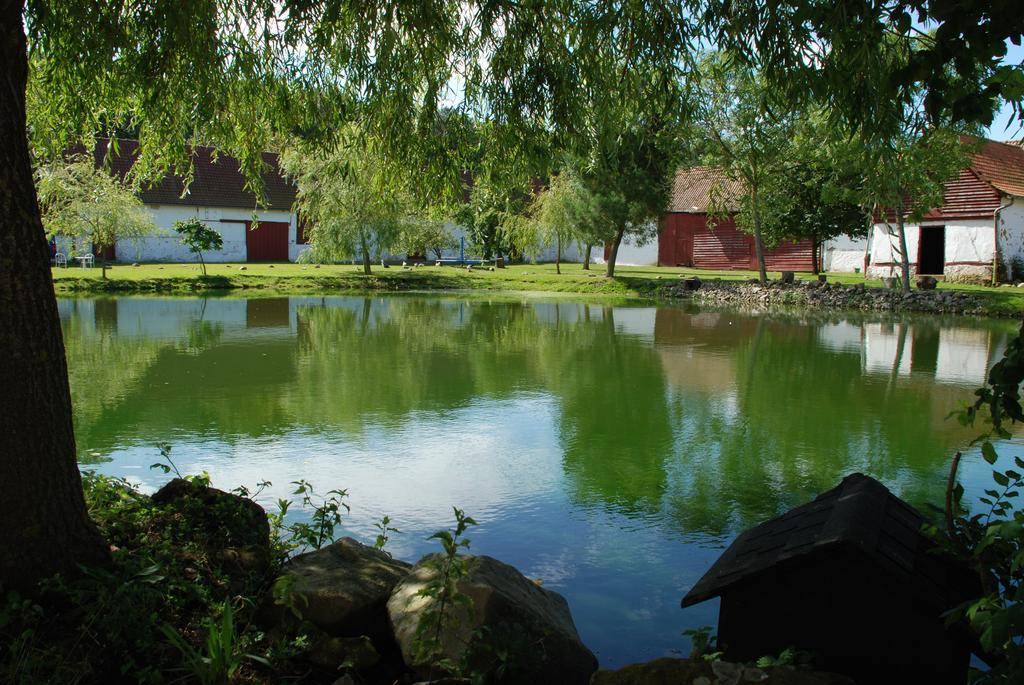 Bed and Breakfast Domaine De Collen Lepine  Экстерьер фото